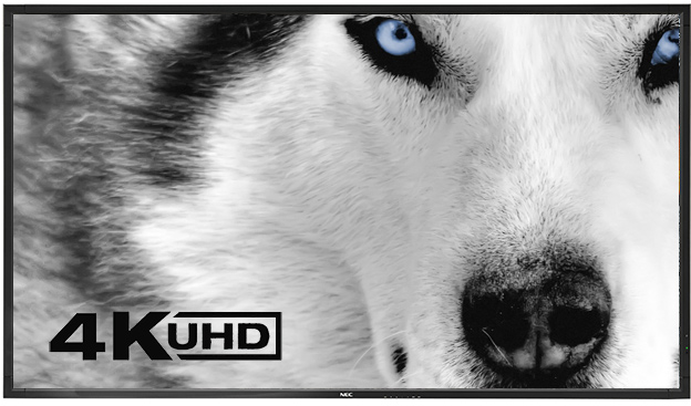 4K UHD – La nuova era della Visual Experience