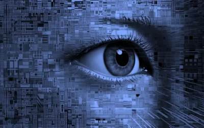 The Protection of Visitor Privacy: Regulations and Security Measures for Responsible Data Management