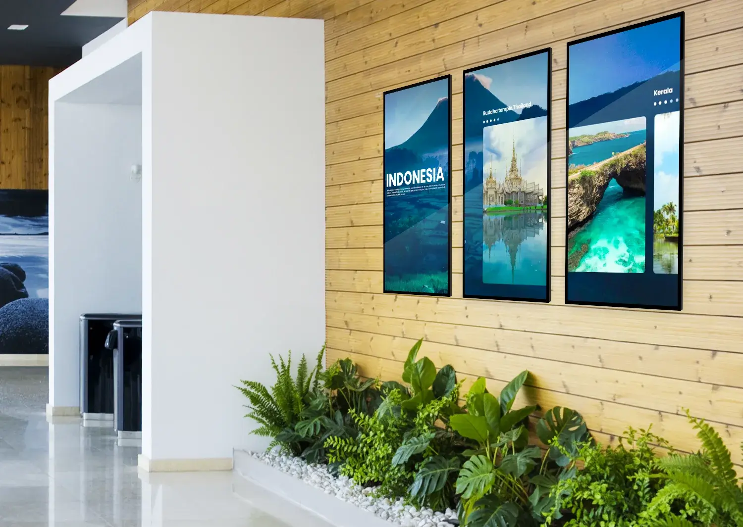 display digital signage